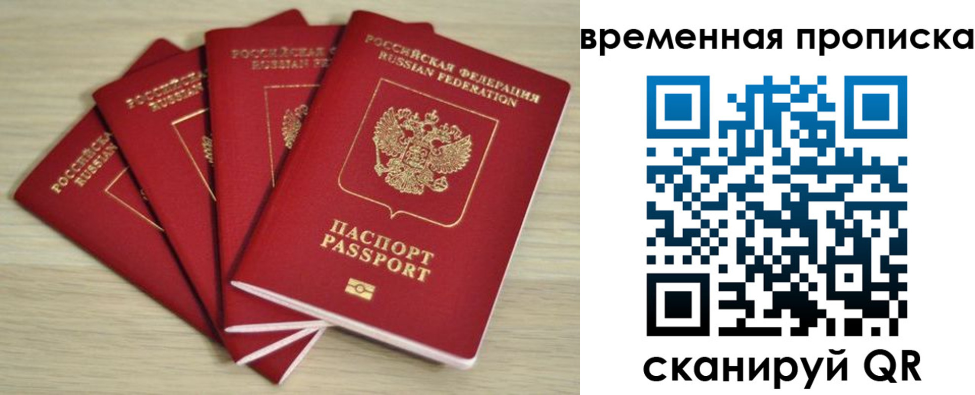 прописка для школы в Бердске